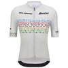 Maillot Santini Championnat du Monde UCI Zurich 2024 - Gris