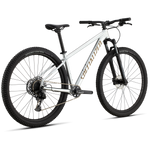 Specialized Rockhopper Expert 29 - Silver