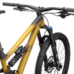 Specialized Status 170 2 - Gold