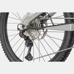 Cannondale Moterra Neo Carbon SL2 - Grey