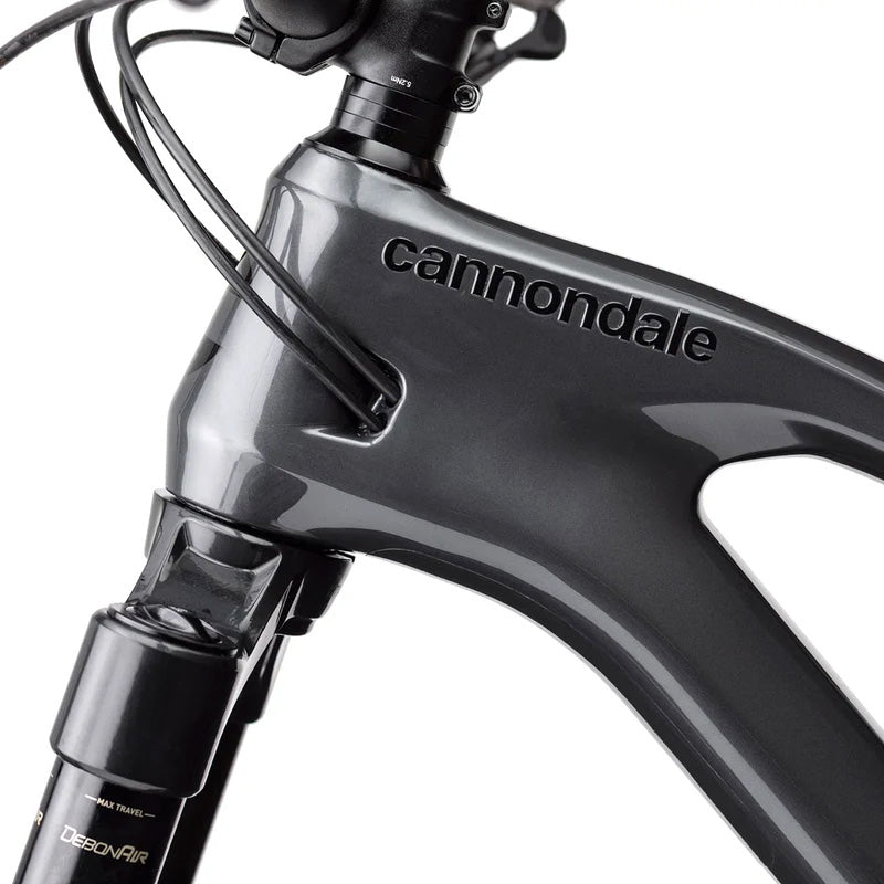 Cannondale Jekyll 2 - Black