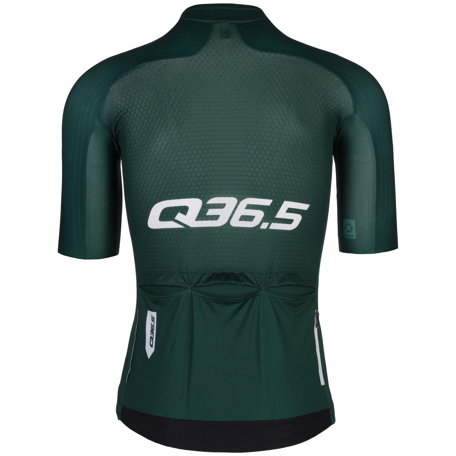 Maillot Q36.5 R2 Signature - Vert