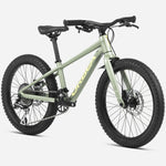 Orbea MX 20 Team Disc - Grun