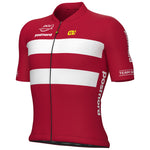 Denmark National Team 2025 jersey