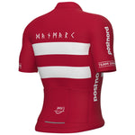 Denmark National Team 2025 jersey