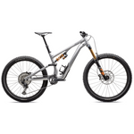 Specialized Stumpjumper 15 Fox Coil Alloy - Grau