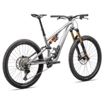 Specialized Stumpjumper 15 Fox Coil Alloy - Grau