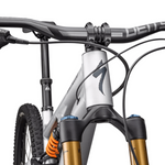 Specialized Stumpjumper 15 Fox Coil Alloy - Grau