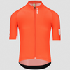 Q36.5 Gregarius Pro Signature trikot - Rot