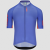 Maillot Q36.5 Gregarius Pro Signature - Violet