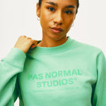 Pas Normal Studios Logo sweatshirt - Hellgrun