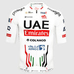 Maillot Équipe Pissei UAE 2024 Magistrale Ultra 