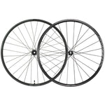 Syncros RP 2.0 Disc Disc rader - Schwarz