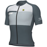 Ale PR-E Radar jersey - Grey