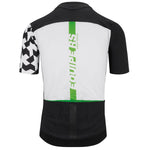 Maglia Assos Equipe RS Aero - Verde