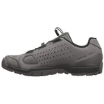 Scott mtb Sport Trail Evo shoes - Grey